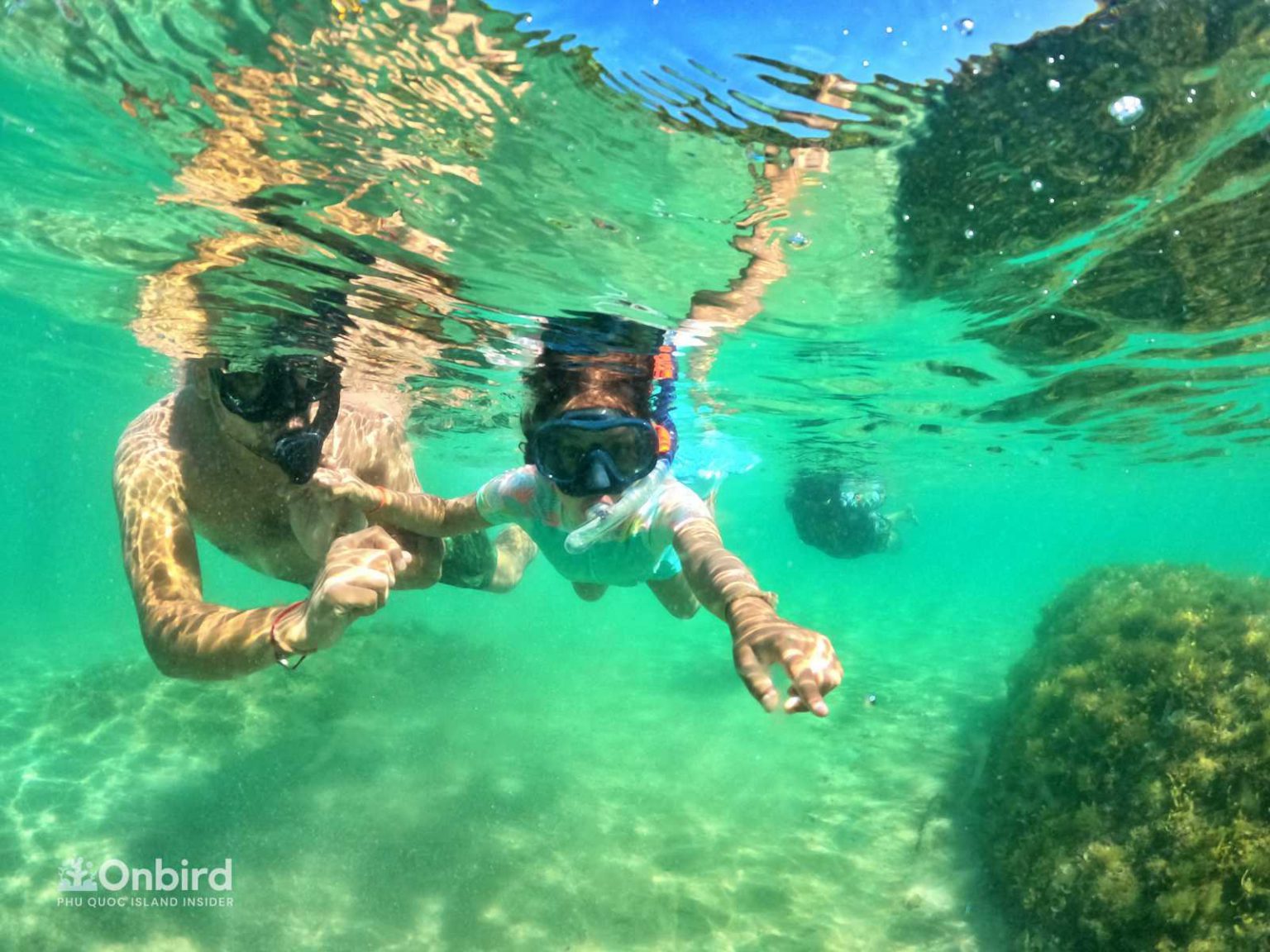 Gull Canal Stable The best Snorkel for Snorkeling & Freediving